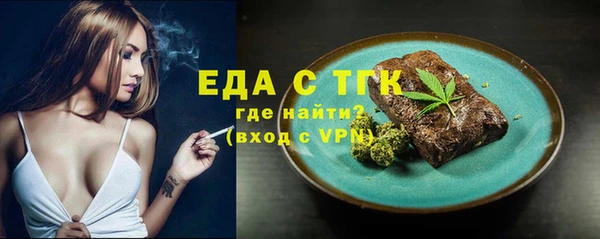амф Верхний Тагил