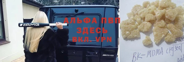 амф Верхний Тагил
