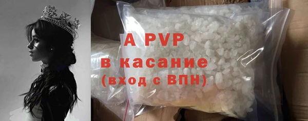 амф Верхний Тагил