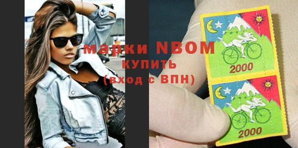 амф Верхний Тагил