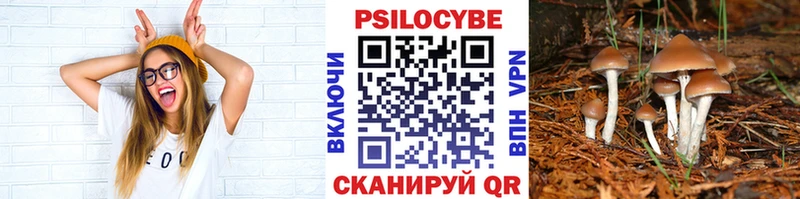 Псилоцибиновые грибы ЛСД  Купить  Сухой Лог 